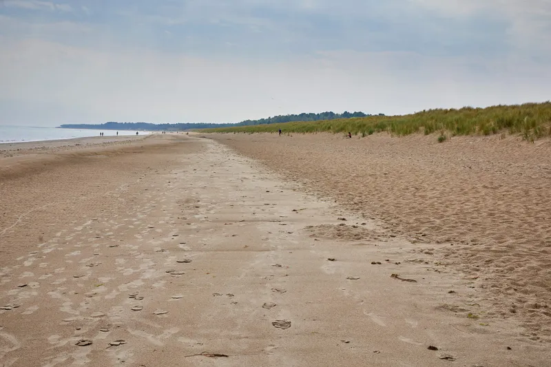 Curracloe Beach