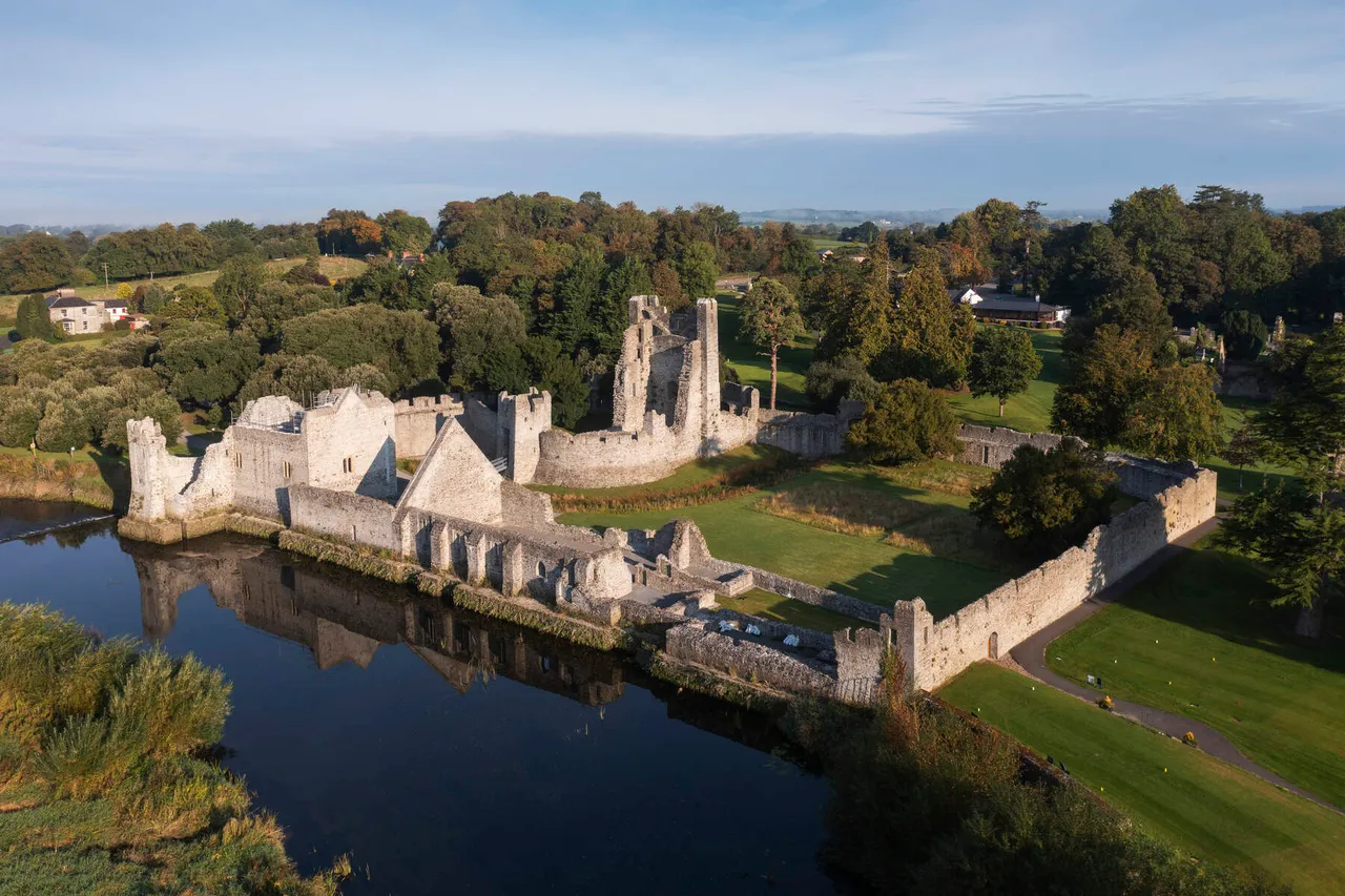Desmond Castle