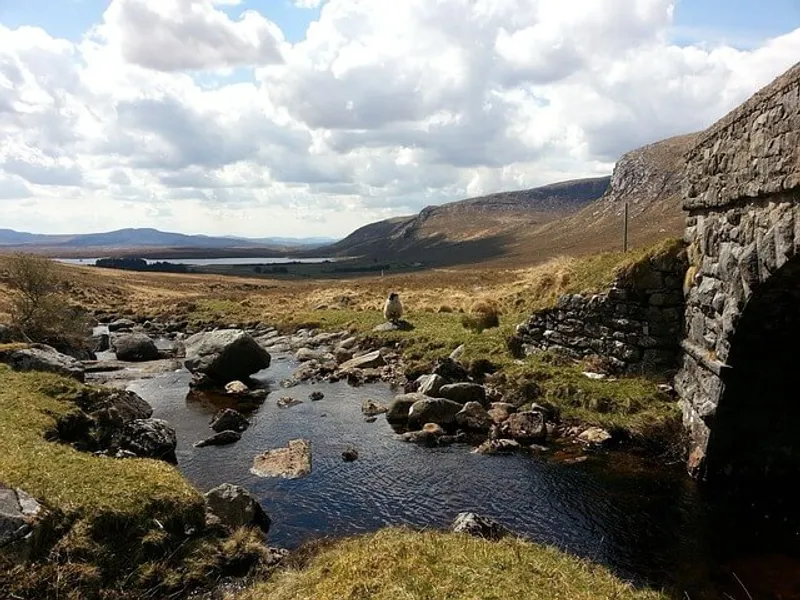 Donegal