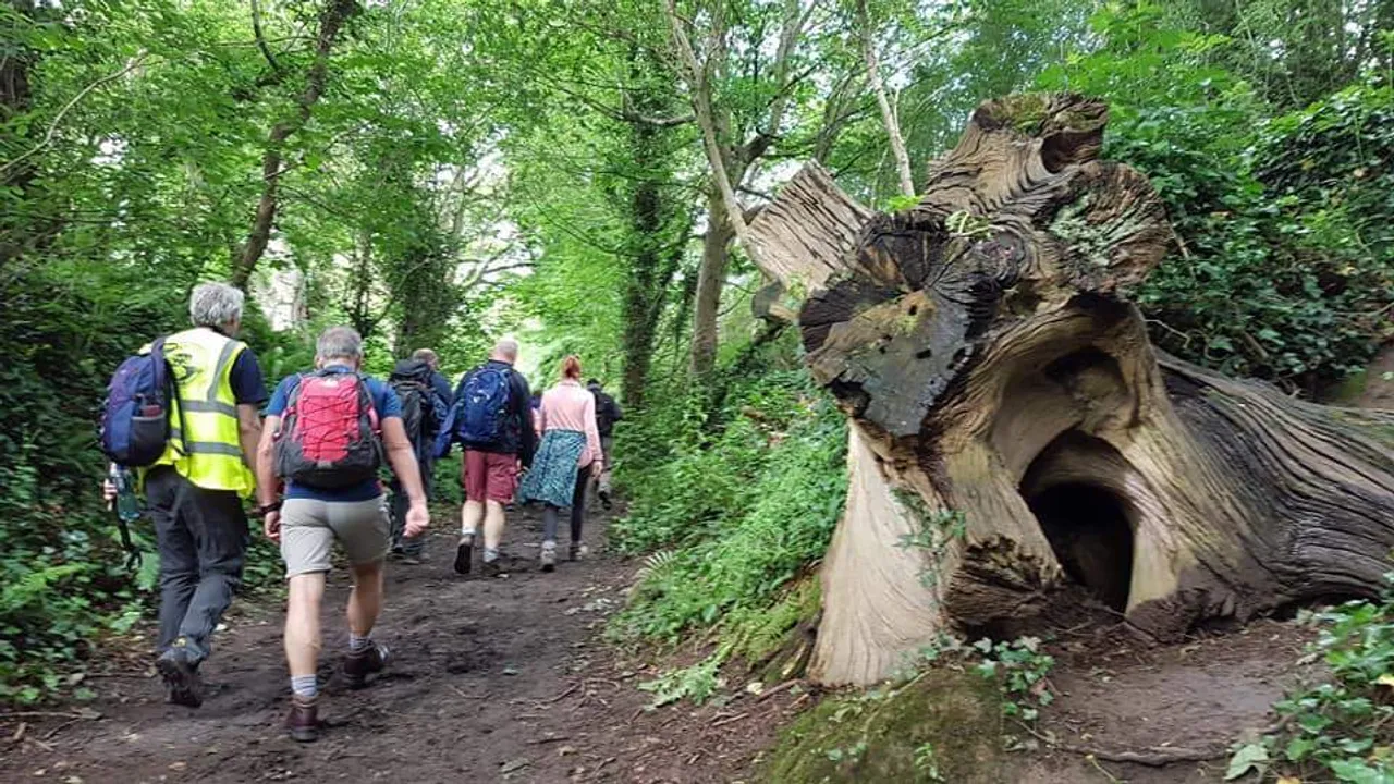 Group hiking in Townley Hall Woods